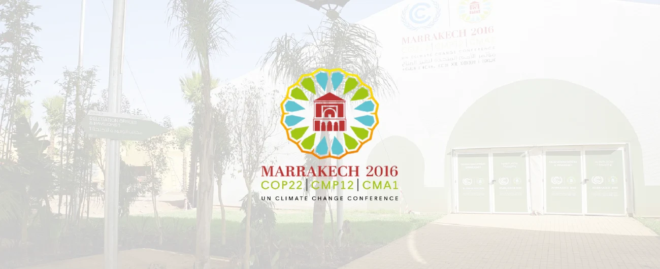 COP22