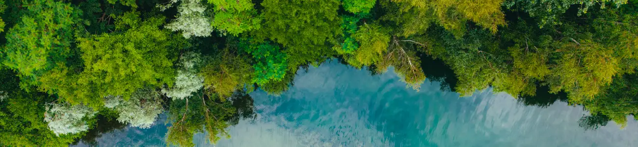 définition de la biodiversité