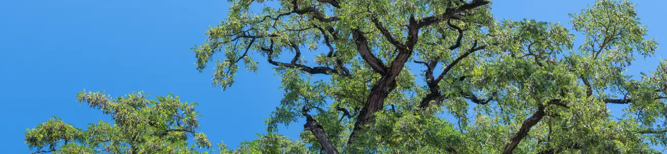 Maroc hubspot de la biodiversité