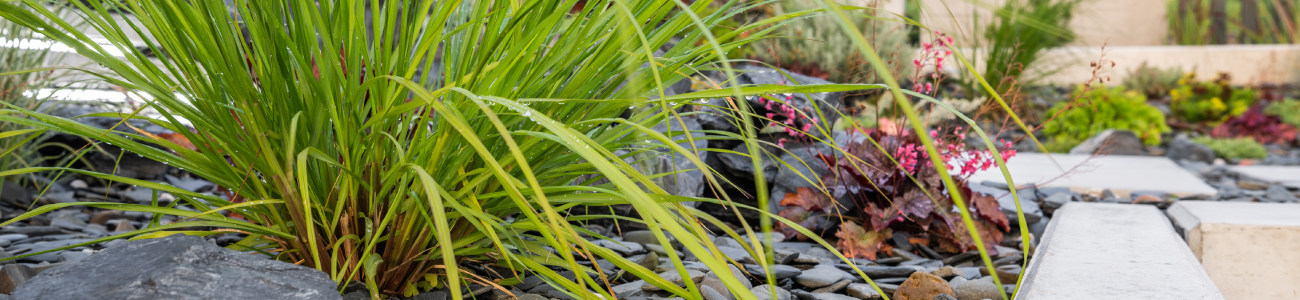 retrofit biodiversité